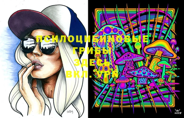 МДПВ Алексеевка