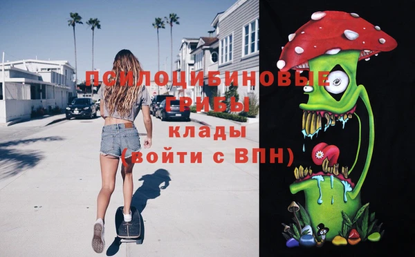 МДПВ Алексеевка